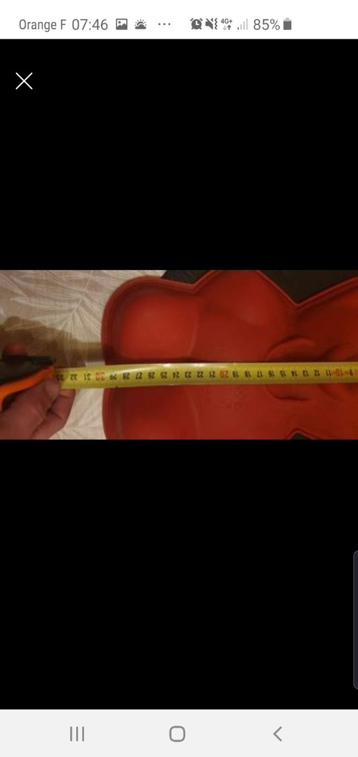 Moule ours - photo numéro 2