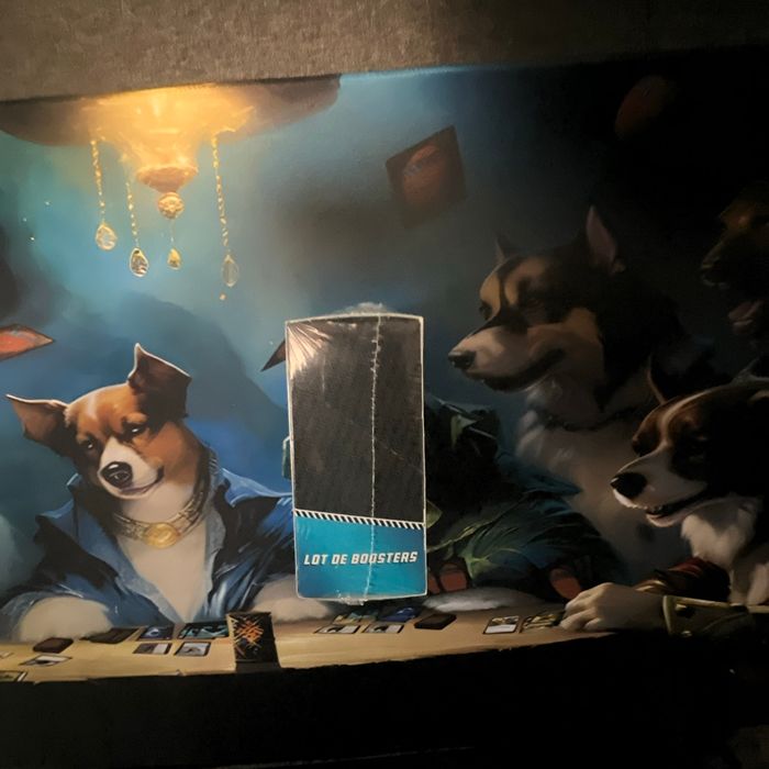 Bundle Pokémon noir - photo numéro 3