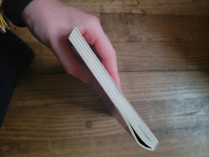Lot 2 livres Téa Silton - photo numéro 6