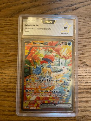 Kaldeo ex flamme blanche PCA 10