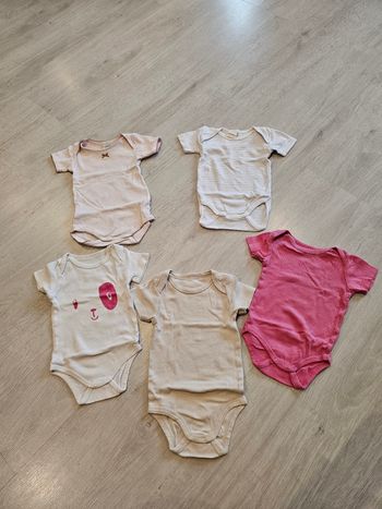 Lot de 5 bodys manches courtes