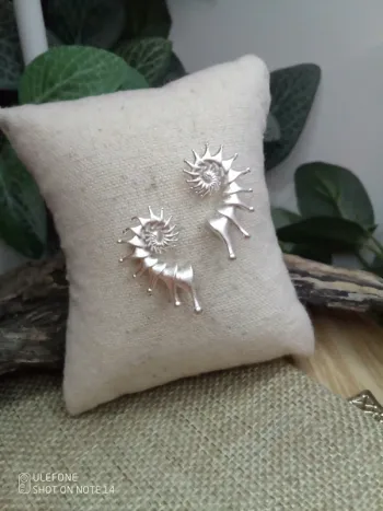 Boucles d'oreilles spirales acier inoxydable argenté