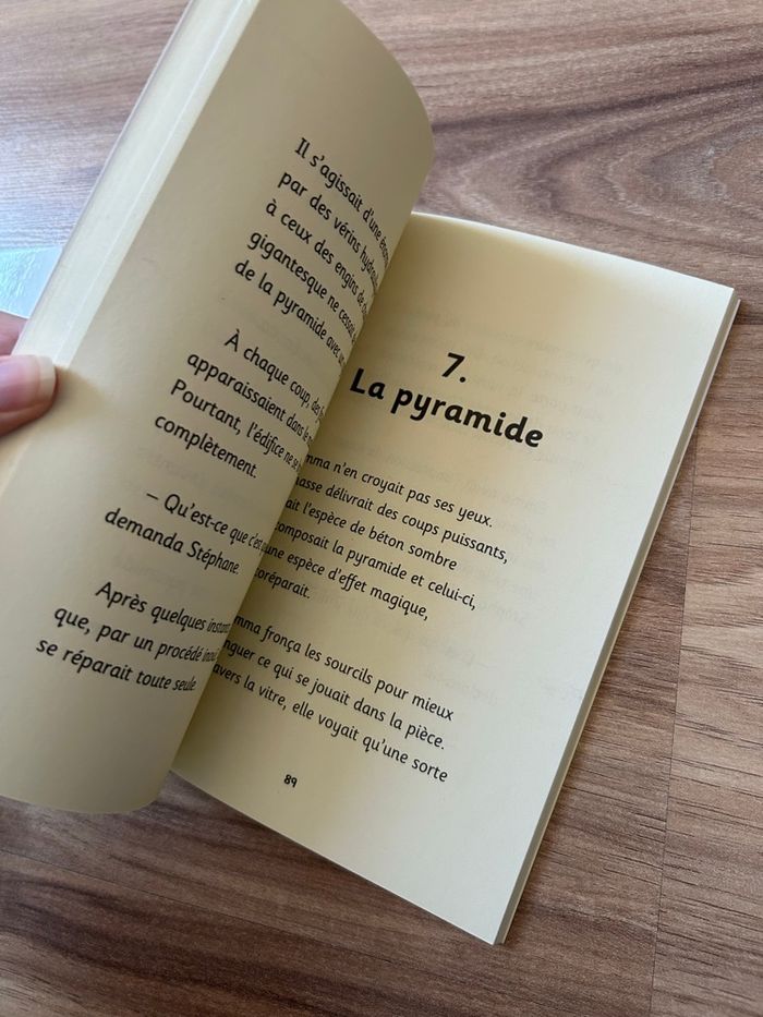 Lot de 2 Livres Jeunesse Akita et Le Centre - photo numéro 9