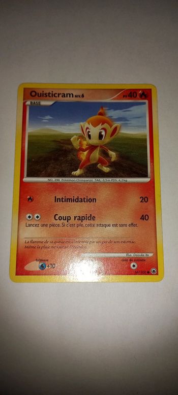 Carte pokémon ouisticram