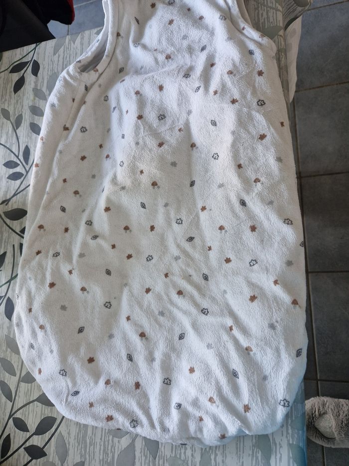 Gigoteuse Disney - photo numéro 3