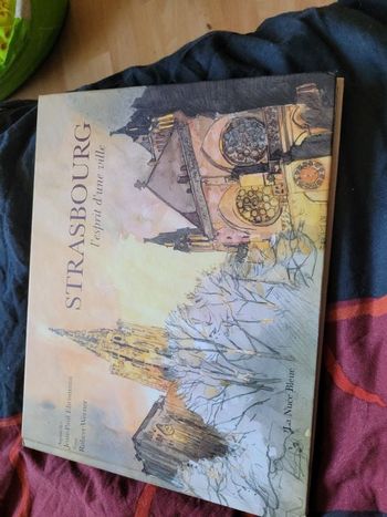 Strasbourg l esprit d une ville