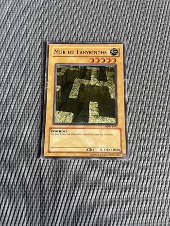 carte Yu-Gi-Oh! Mur du Labyrinthe MDM-F055