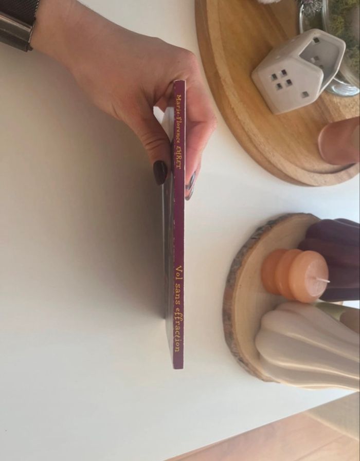 Vol sans effraction de Marie-Florence Ehret - photo numéro 3