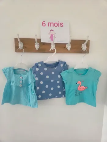 Lot 3 tee-shirts 6m f