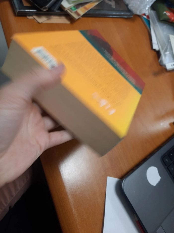 Livre ange et démon en espagnol umbriel - photo numéro 4