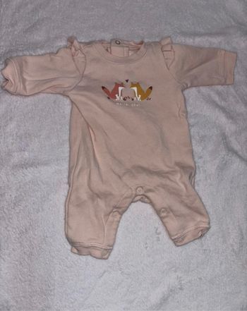 Ensemble renard