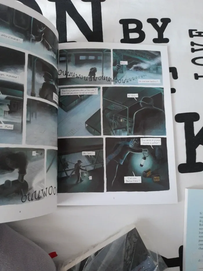 L'embranchement de Mugby - photo numéro 2