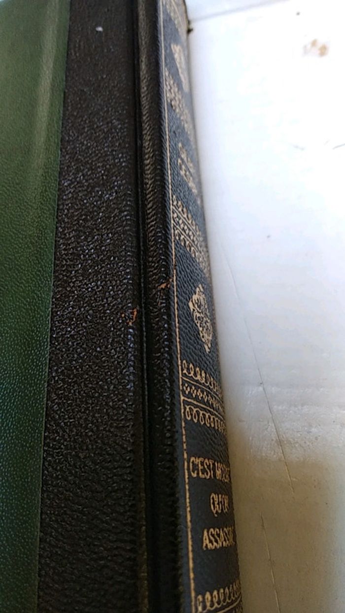 C'est Mozart qu'on assassine - photo numéro 4