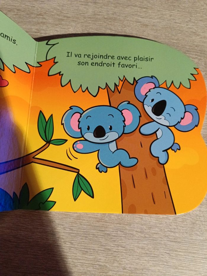 Kim le koala - photo numéro 2