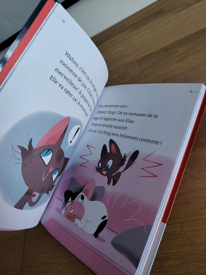 Le petit chat de l’Opéra - La valse des flocons Le trésor du lac - photo numéro 3