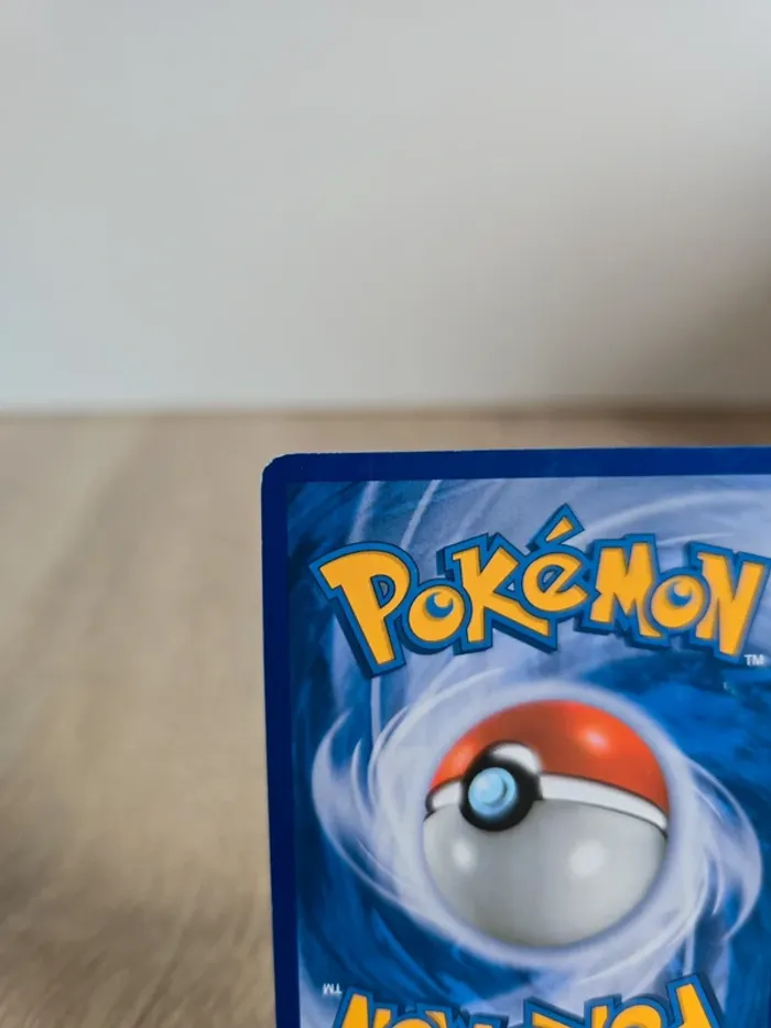 Lamantine 24/147 - photo numéro 7