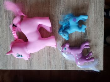 poneys