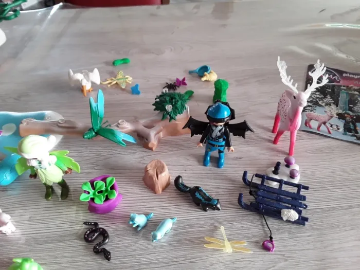 Playmobil Adventures offre Ayuma - photo numéro 4