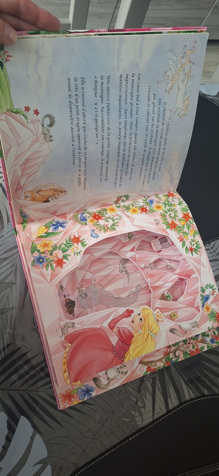 Livre la petite princesse et les poneys magique - photo numéro 5