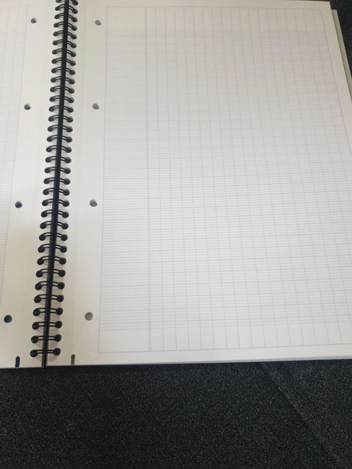 Neuf cahier campus 160 pages marque Clairefontaine - photo numéro 3