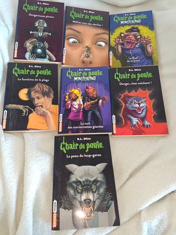 Lot de 7 livres de la série" Chair de poule"