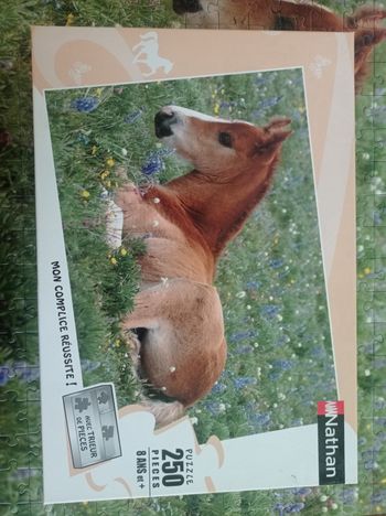 Puzzle poney