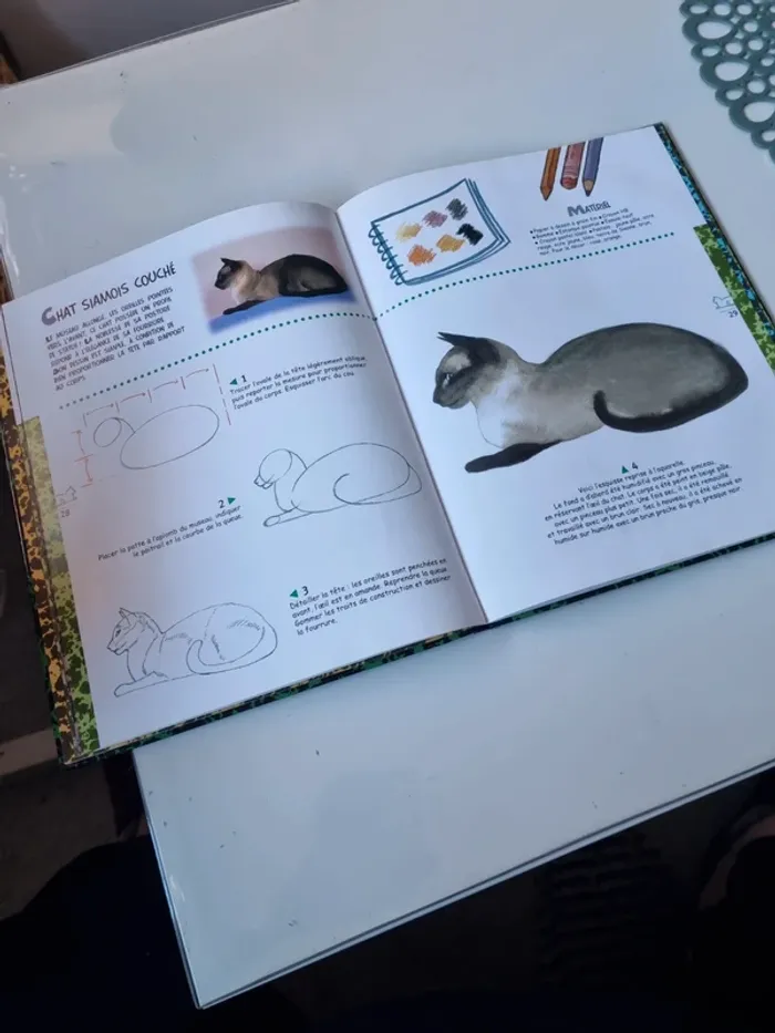 Livre "dessiner et peindre les chats" - photo numéro 5