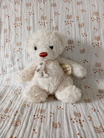 Doudou ours Histoire d'ours blanc museau marron