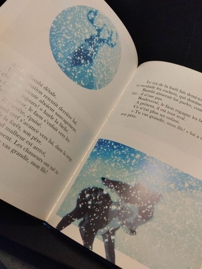 Livre Disney Bambi - photo numéro 5