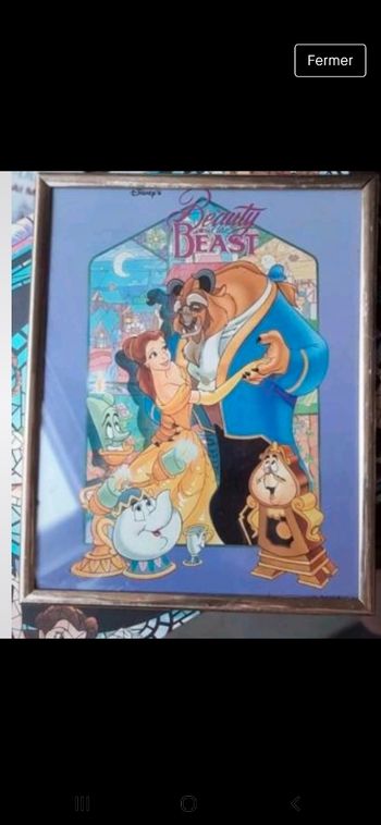 Cadre Disney la belle et la bete