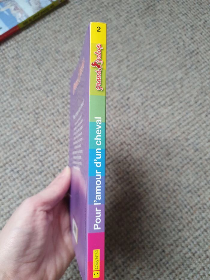 Livre Pour l'amour d'un cheval - photo numéro 4