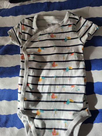 Lot de bodies 6 mois