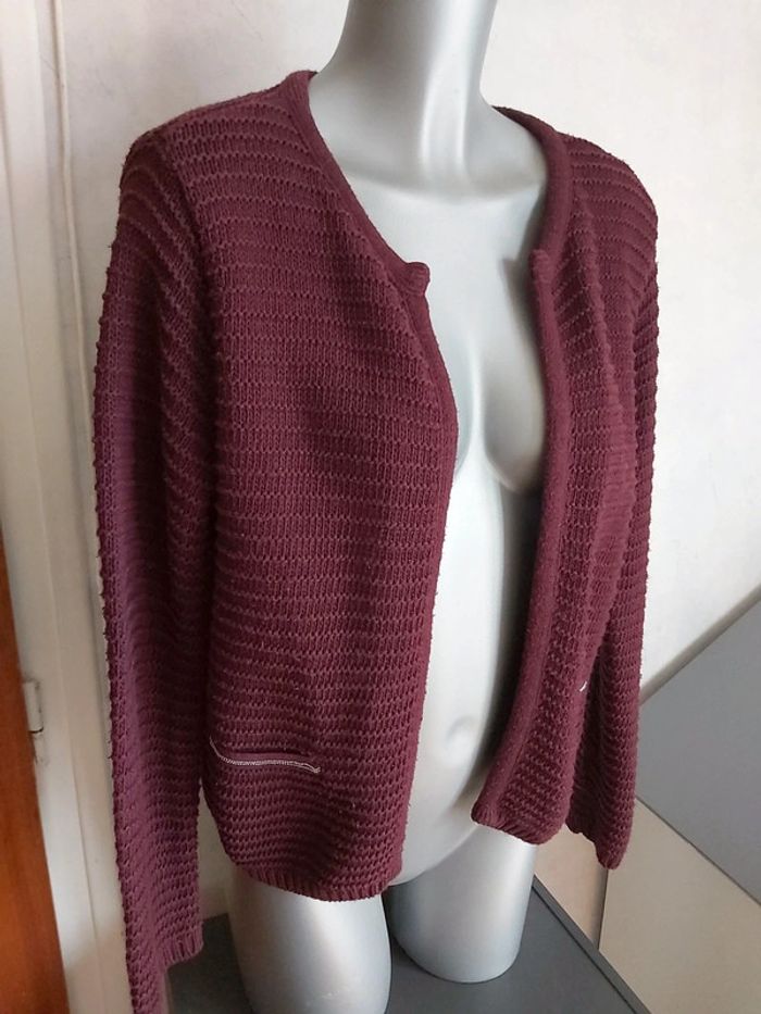 🦋 Veste Aubergine Cache cache L