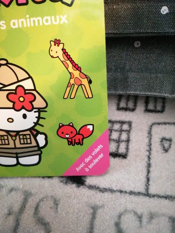 Hello Kitty - photo numéro 2