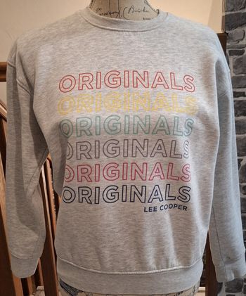 Pull molletonné gris clair imprimé multicolore devant