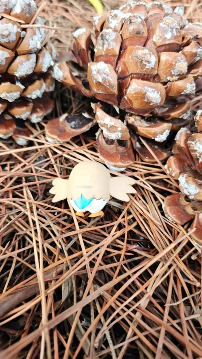 Super figurine Pokemon Nintendo Brindibou - photo numéro 3