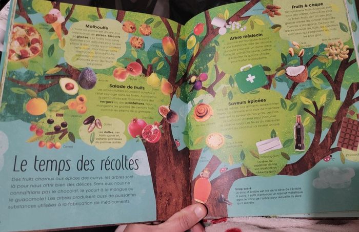 Livres "arbres : secrets et mystères insoupçonnés" - photo numéro 5