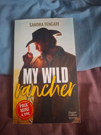 My Wild Rancher - Sandra Fengari