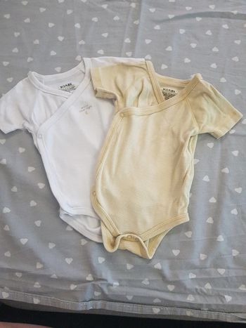 Lot de 2 bodys manches courtes
