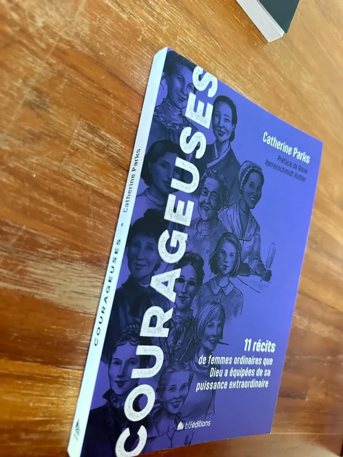 Livre courageuses 11 récits de femmes ordinaire, que Dieu a équipé de sa puissance extraordinaire - photo numéro 2