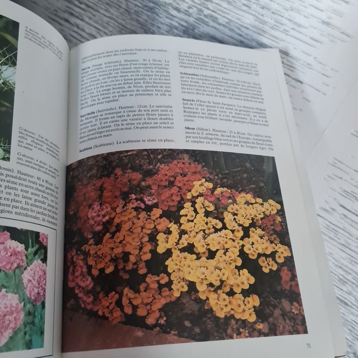 L encyclopédie du jardinage - photo numéro 2