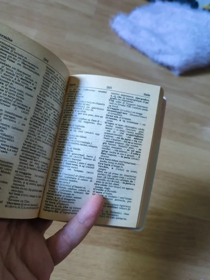 Petit dictionnaire Francais-Italien - photo numéro 3