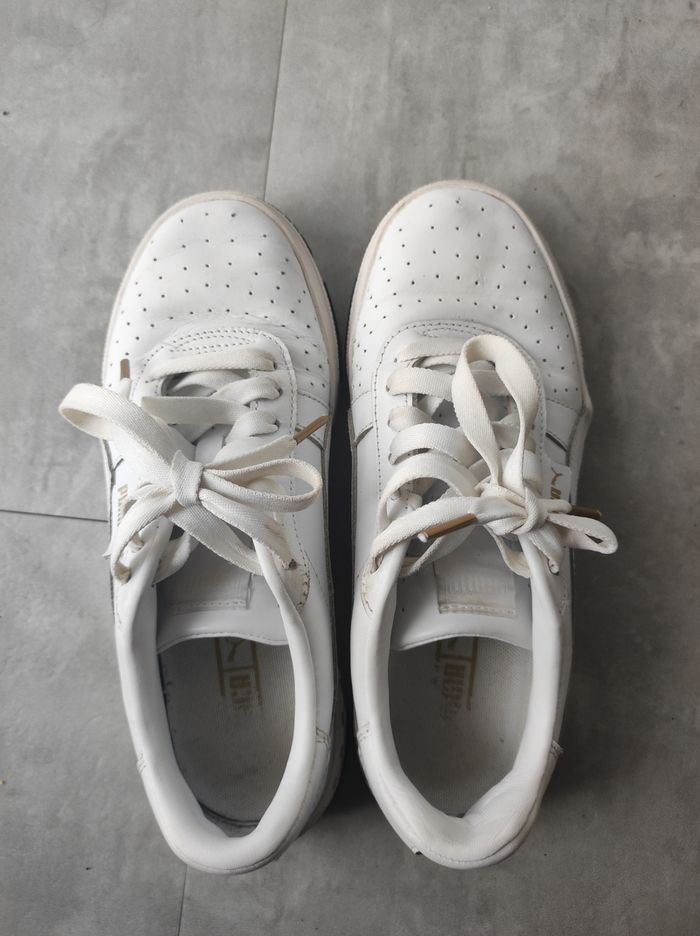 Puma blanches - photo numéro 2