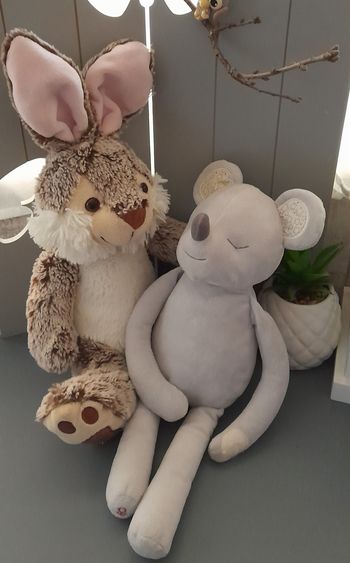 Lot 2 peluches