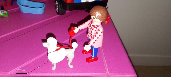 Playmobils - photo numéro 2