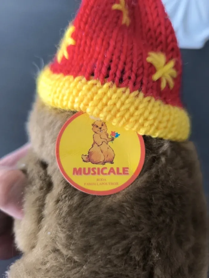 Marmotte musical - photo numéro 2