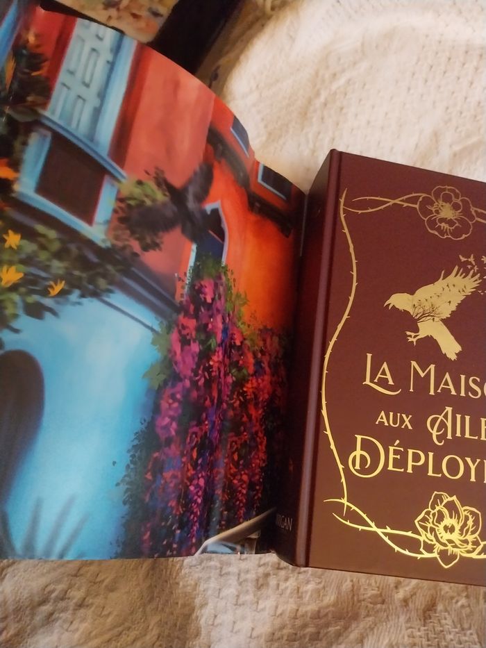 Romans Le Royaume des Corbeaux tomes 1 à 3 Reliés Collectors Olivia Wilderstein Korrigan - photo numéro 7