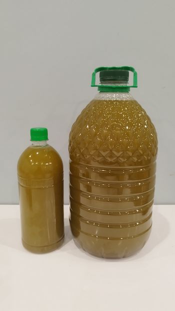 Huile d'Olive du Maroc- 10L - Dernière Récolte