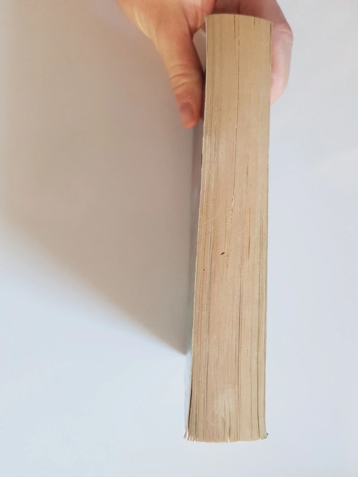 Stephen King (Auteur) La Part des ténèbres - photo numéro 6