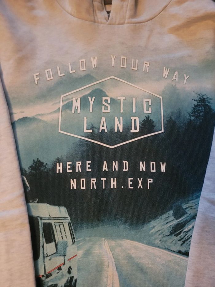 Sweat à capuche - photo numéro 2